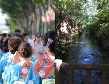 写真：立川よいと祭りの様子と玉川上水（スマートフォン対応）