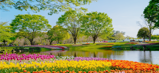 写真：花壇と池