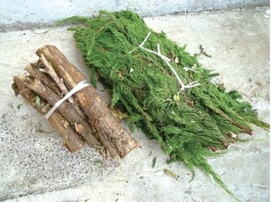 写真：せん定枝の出し方