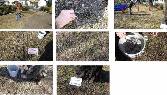 写真：作業状況