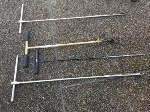 写真：根川緑道桜の保全1