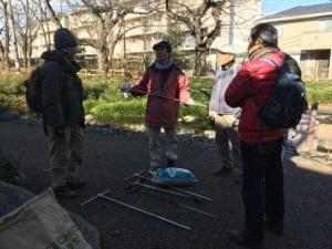 根川緑道桜の保全2