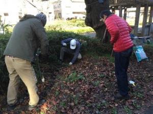 写真：根川緑道桜の保全3