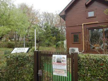 写真：幸町樹林地