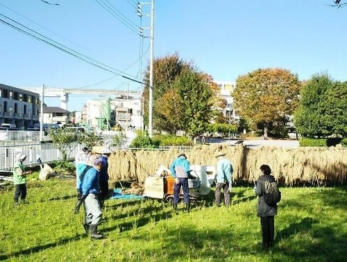 写真：脱穀作業