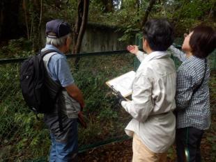 写真：調査の様子