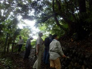 写真：相談の様子