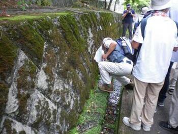 写真：崖線の湧水