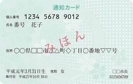 写真：通知カード