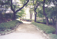 写真：川越道緑地