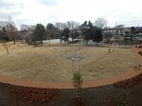 写真：ガニガラ広場西北側