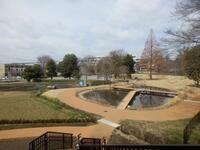 写真：ガニガラ広場東北側