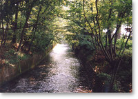 写真：玉川上水