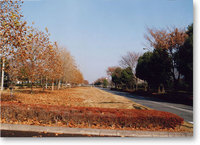 写真：中央南北線周辺