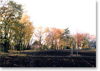 写真：川越道緑地