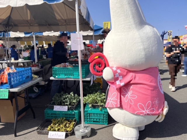写真：野菜を見るくるりん