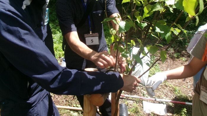 写真：植樹の様子