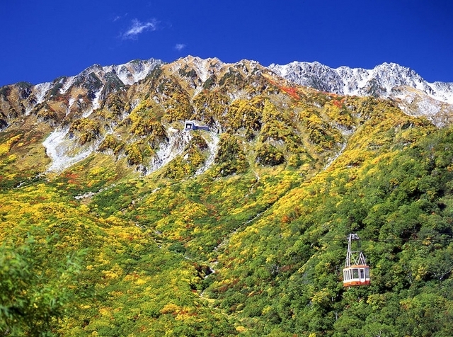 写真：アルペンルートロープウェイ