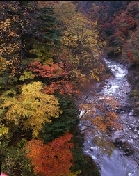 写真：高瀬渓谷