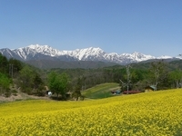 写真：中山高原