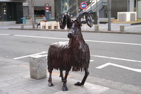 写真：立川の動物たち　羊