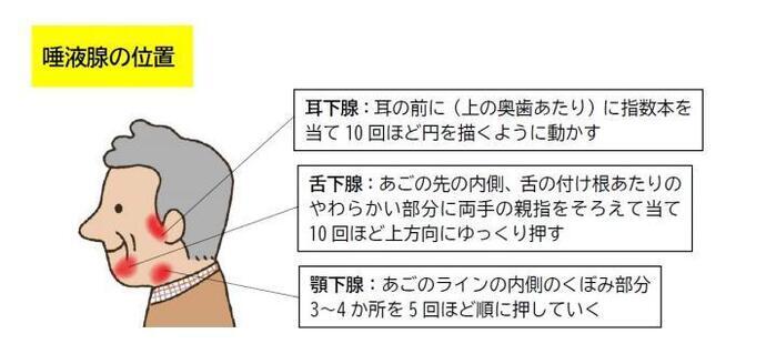 イラスト：唾液腺マッサージの方法