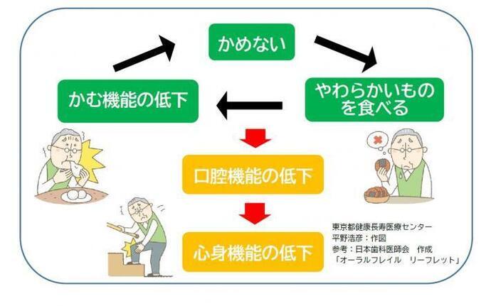 イラスト：オーラルフレイル負の連鎖図