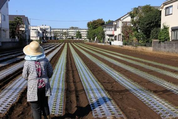 写真：第2回立川の農写真コンテスト市長賞受賞作