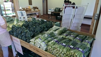 写真：直売所に並べられた採れたてのブロッコリー