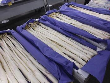 写真：立川こまち2