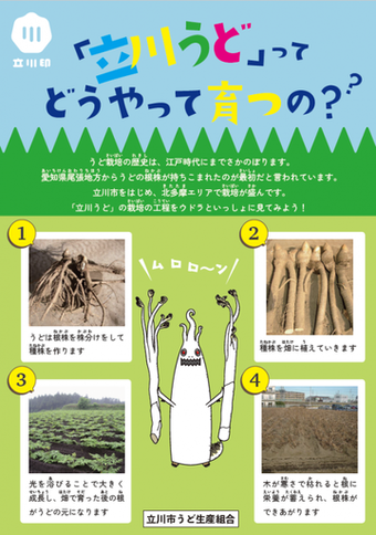 写真：「立川うど」ってどうやって育つの？チラシ1