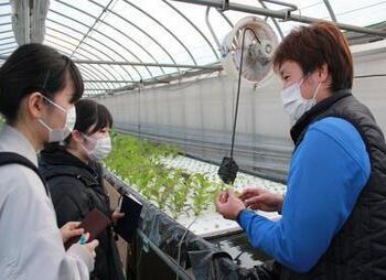 写真：ボランティアの様子2