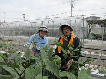 写真：ボランティアの様子4