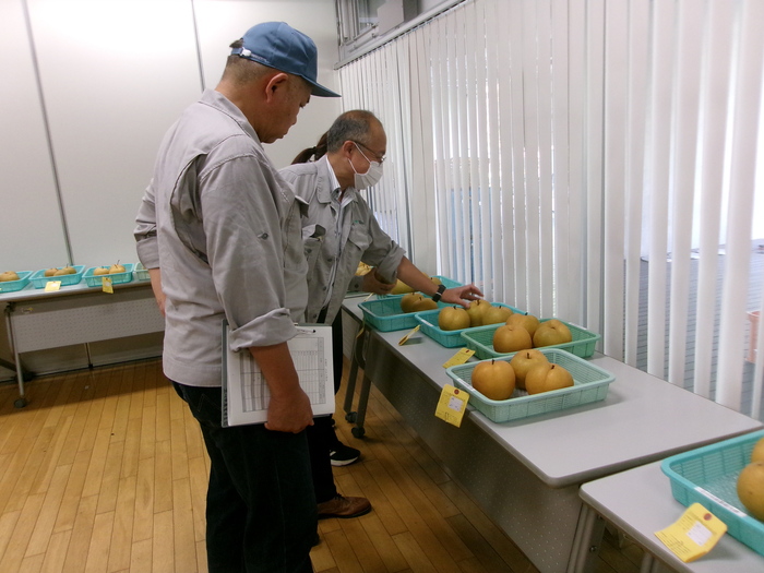 令和6年度の品評会で審査している様子