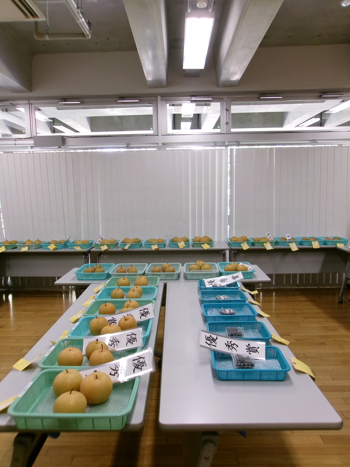 令和6年度の市長賞