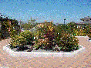 写真：みのーれ（植木）