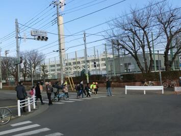 写真：若葉大通り2