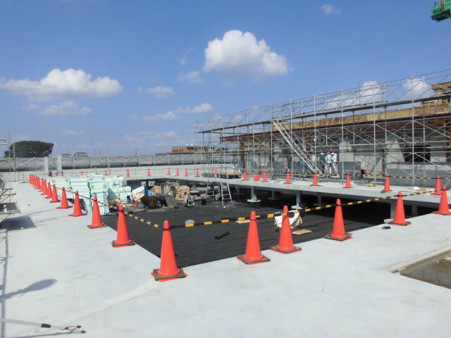 写真：屋上プール2