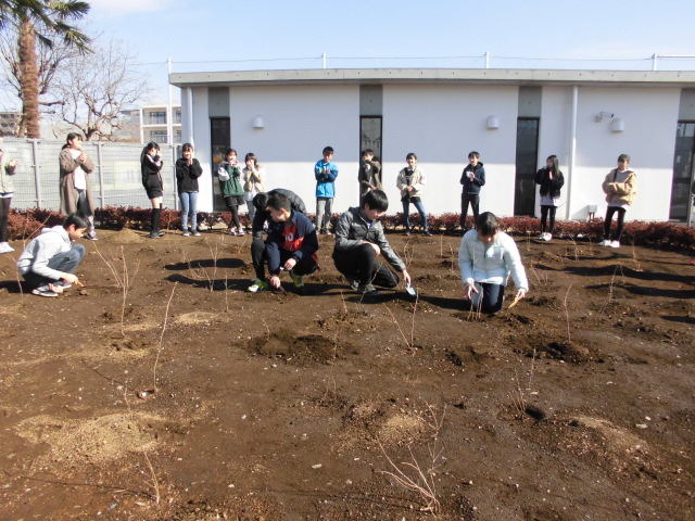 写真：どんぐり植樹の様子