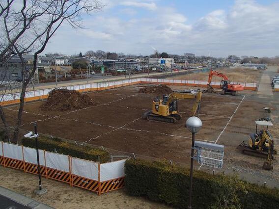 写真：伐根作業の様子