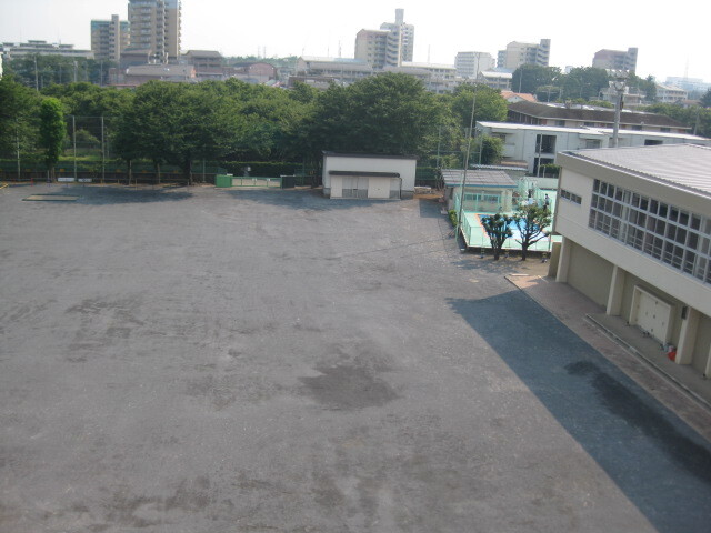 写真：完成した校庭2