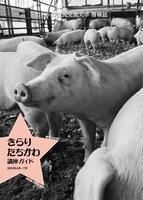 写真：「きらり・たちかわ」第63号表紙