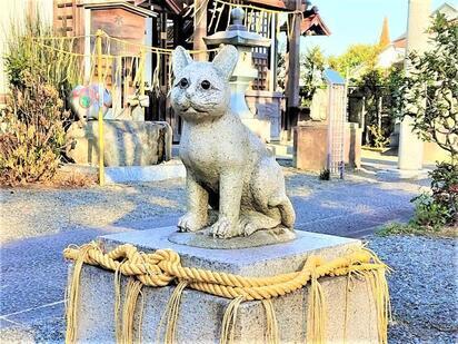 写真：猫返し神社