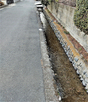 写真：柴崎分水