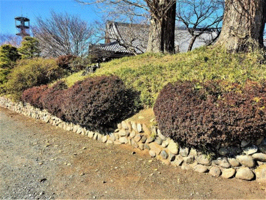 写真：立川氏館跡
