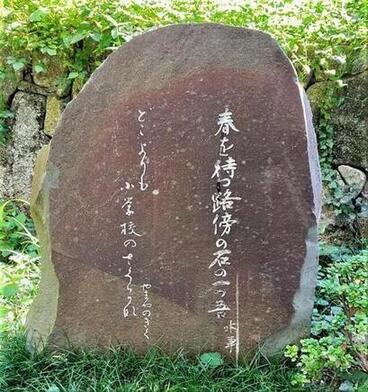 写真：やまやのぎく　句碑