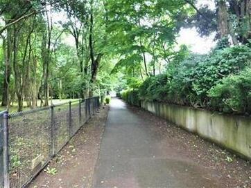 写真：殿ヶ谷緑道全景