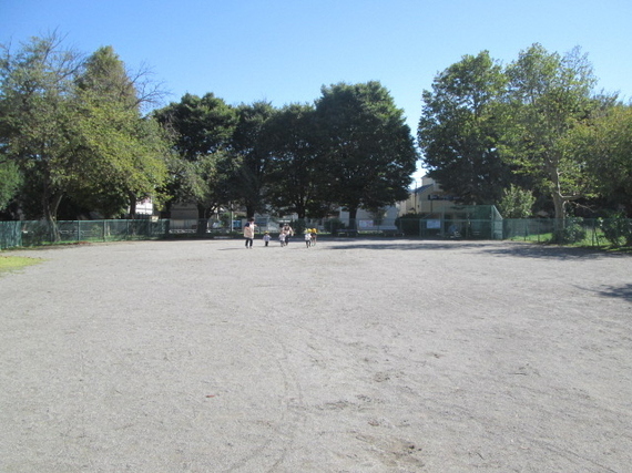写真：広場で遊んでいる様子