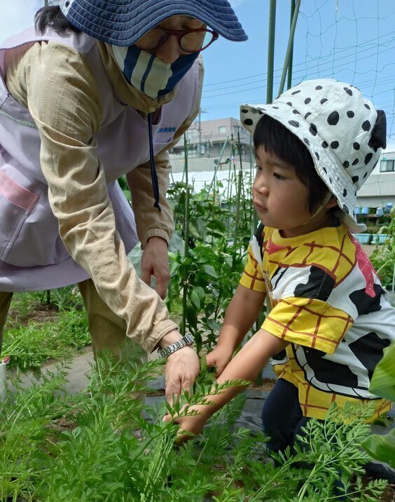 写真：畑遊びの様子
