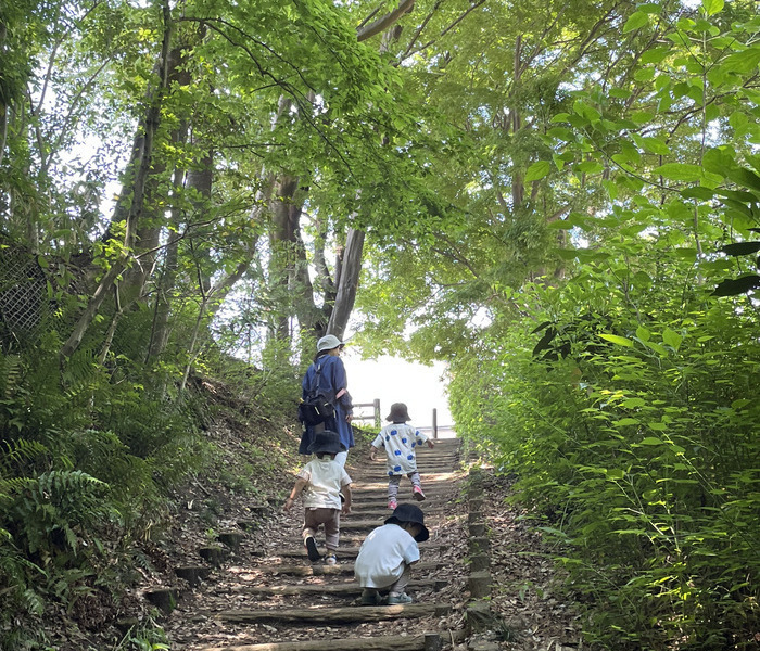 写真：毎日の散歩で四季折々の自然で過ごしている様子